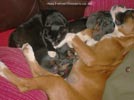 Tanyati B Litter