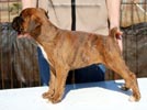 Tanyati C Litter