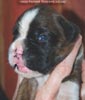 Tanyati C Litter