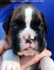 Tanyati C Litter