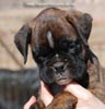 Tanyati C Litter