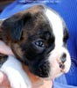 Tanyati C Litter
