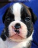 Tanyati C Litter