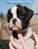 Tanyati C Litter