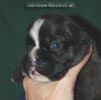 Tanyati C Litter