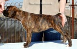 Tanyati C Litter