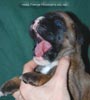 Tanyati C Litter