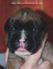 Tanyati C Litter