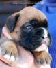 Tanyati C Litter
