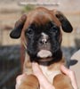 Tanyati C Litter