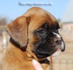 Tanyati C Litter