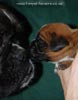 Tanyati C Litter