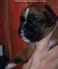Tanyati C Litter