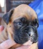 Tanyati C Litter