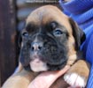 Tanyati C Litter
