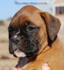 Tanyati C Litter