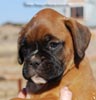 Tanyati C Litter
