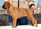 Tanyati C Litter