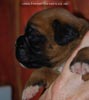 Tanyati C Litter