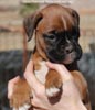 Tanyati C Litter