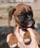 Tanyati C Litter