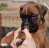 Tanyati C Litter