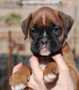 Tanyati C Litter