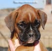Tanyati C Litter