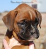 Tanyati C Litter