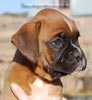 Tanyati C Litter