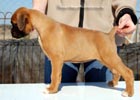 Tanyati C Litter