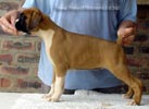 Tanyati A Litter