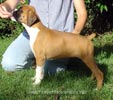 Tanyati A Litter