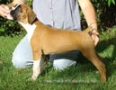 Tanyati A Litter