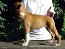Tanyati A Litter