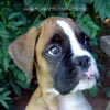 Tanyati A Litter