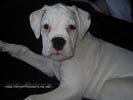 Tanyati B Litter