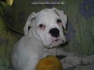 Tanyati B Litter