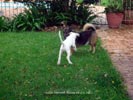 Tanyati B Litter