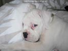 Tanyati B Litter