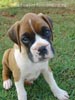 Tanyati A Litter