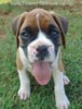 Tanyati A Litter