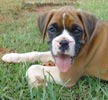 Tanyati A Litter