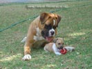 Tanyati V Litter