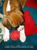 Tanyati A Litter