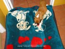 Tanyati A Litter
