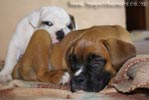 Tanyati A Litter