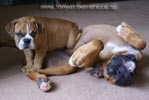 Tanyati A Litter