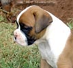 Tanyati V Litter