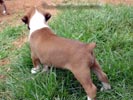 Tanyati V Litter